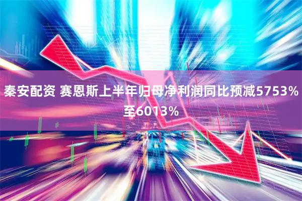 秦安配资 赛恩斯上半年归母净利润同比预减5753%至6013%