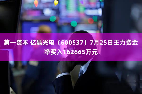 第一资本 亿晶光电（600537）7月25日主力资金净买入162665万元
