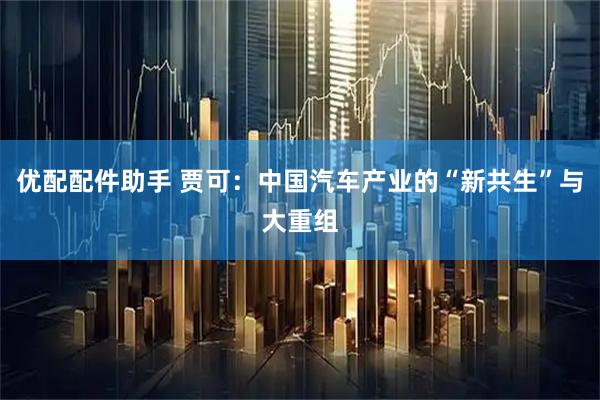优配配件助手 贾可：中国汽车产业的“新共生”与大重组