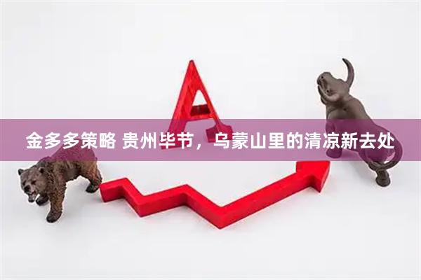 金多多策略 贵州毕节，乌蒙山里的清凉新去处